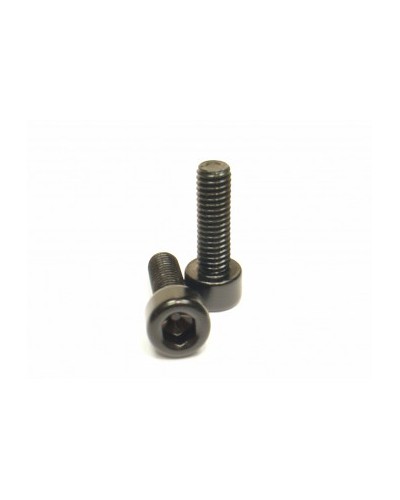 Alloy Bottlecage screws M5x16, black, 2 pieces