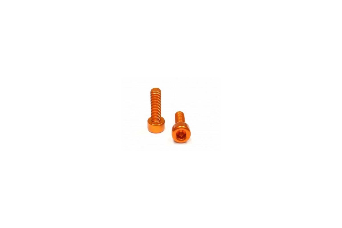 Alloy Bottlecage screws M5x16, gold, 2 pieces
