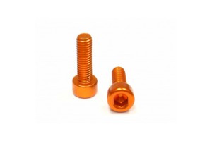 Alloy Bottlecage screws M5x16, gold, 2 pieces