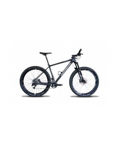 Konstructive TOURMALINE 29er Mountain Bike Rahmen/ frame, pure carbon style, Größe / size small 