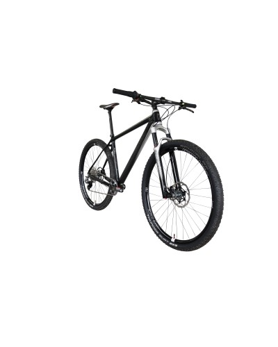 Konstructive IOLITE 29 Mountain Bike Rahmen-Set / frame set, pure carbon style