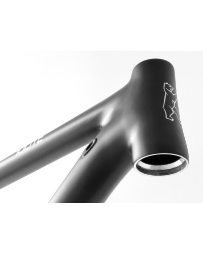 Konstructive IOLITE 29 Mountain Bike Rahmen-Set / frame set, pure carbon style