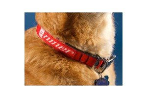 NINER Dog Collar, Medium, 12" - 21"
